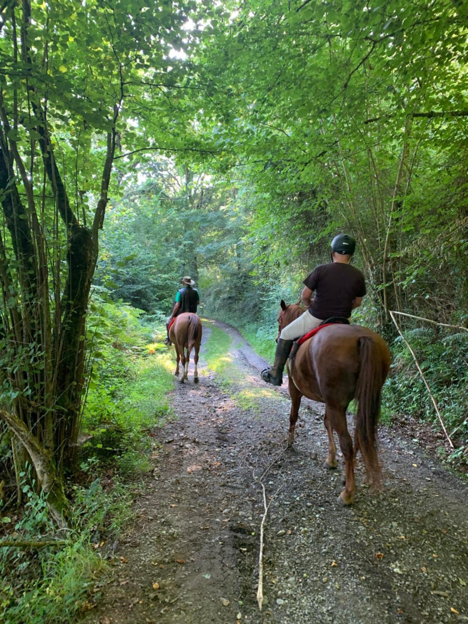 Agroturismo Gure Naia Pension Carranza Buitenkant foto